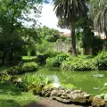 Ботаническа градина в Пиза