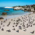 Това са най-уникалните плажове на нашата планета