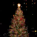 На 1 декември грейват светлините на коледната елха в София