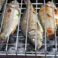В Бургас раздават безплатни рибни ястия за здраве