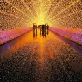 Тунелите на светлината в Япония ще ви оставят без думи