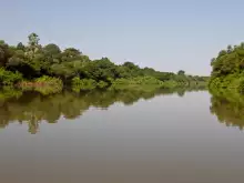 Река Гамбия