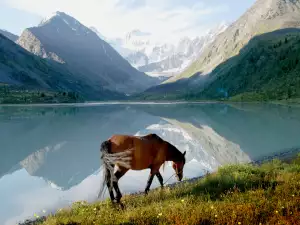 Планината Алтай в Сибир