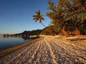 Екзотични острови - Снимка Един от плажовете на Бали