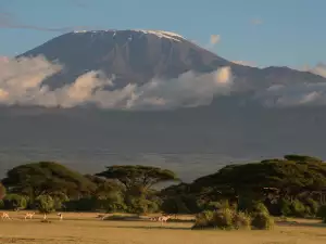Природни Забележителности - Снимка Планината Килиманджаро в Африка