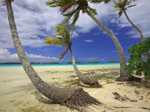 Екзотични острови - Снимка Кораловият остров Рангироа