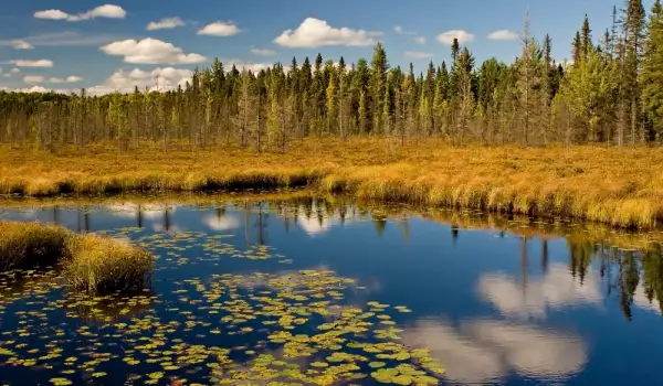 Природен парк Алгонкин, Канада