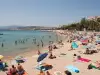 Морски скорпиони тероризират туристите на Средиземно море