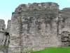 Замъкът Суин
