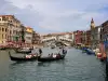 Венеция въстана срещу агресивни чайки