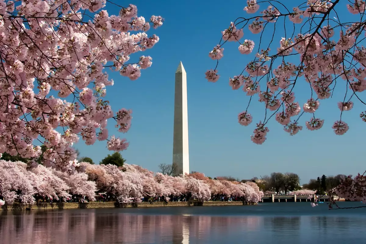 Монументът на Вашингтон | Pochivka.com