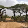 Национален парк в Африка