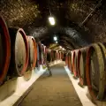Музей на виното отваря врати в село Брестовица