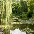 Красивите градини на Клод Моне