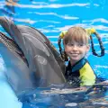 Подарете на любимия си плуване с делфин