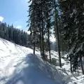 Узана предлага чудесни условия за ски любителите