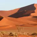 Намибийската пустиня (Namibian Desert)