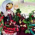 Днес откриват Празника на черешата в Кюстендил