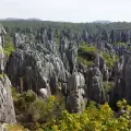 Каменната гора на Южен Китай