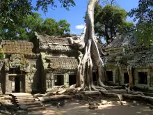 Анкор Ват (Angkor Wat)