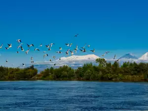 Камчатка