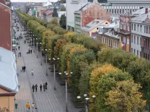 Град Каунас