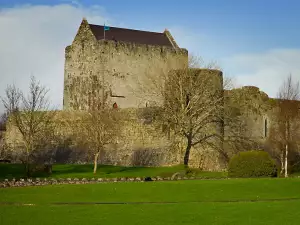 Замъкът Athenry