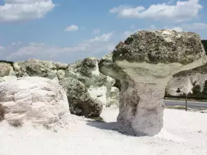 Каменнни Гъби