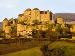 Замъкът Berze-le-Chatel
