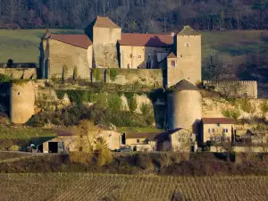 Замъкът Berze-le-Chatel