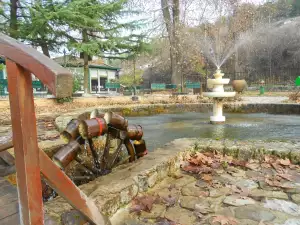 Билянини извори, колело