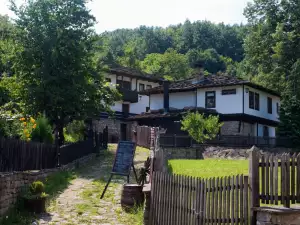 Български села, по които чужденците луднаха