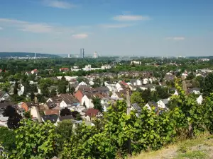 Bonn