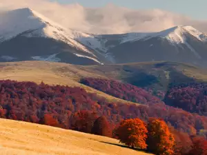 Карпатите