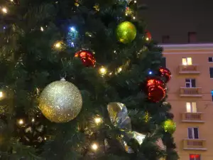 Най-високата изкуствена елха издигнаха в Шри Ланка