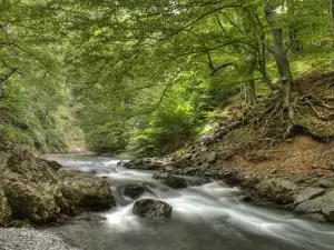 Три екопътеки, в които ще се влюбите
