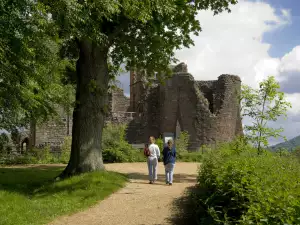 Goodrich Castle