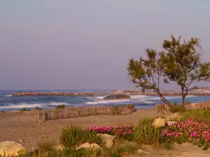 Френската Ревиера, Грас