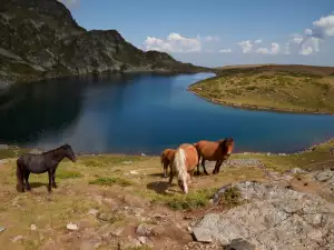 Районът на Смолянските езера е предвиден за курорт