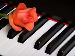 Музикален подлез ще радва столичани