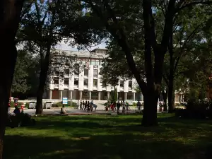 Художници рисуват в Кайлъка