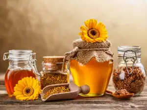 Бургас се сдоби с кът-музей на родното пчеларство