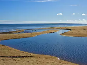 Река вливаща се в Балтийско Море