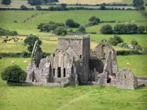 Rock of Cashel