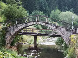 Широка лъка привлича с родопска кухня и красива природа