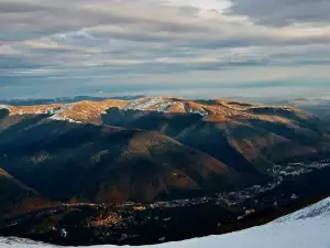 Синая