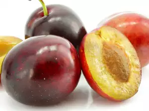 Празник на сливата се проведе в Орешак