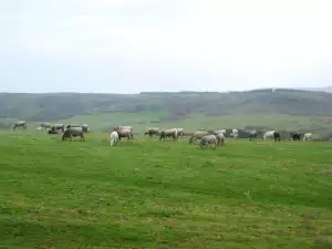 Сакар планина