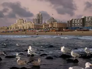 Хага