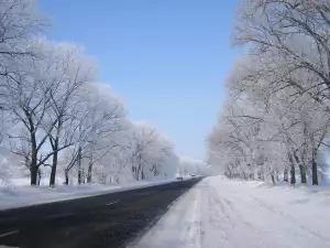 За Пампорово пътуваме без вериги